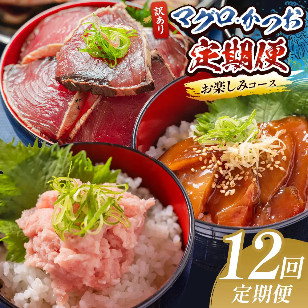 【定期便/計12回】海鮮【惣菜海鮮】 Wda-0054
