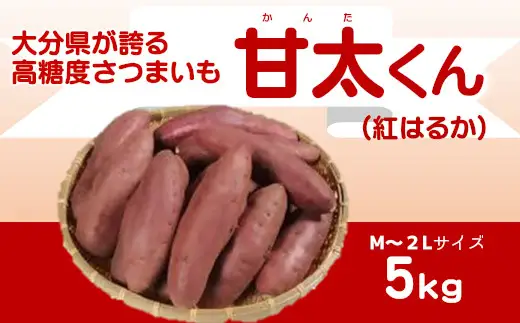 【先行予約】大分県が誇る高糖度さつまいも「甘太くん」5kg
