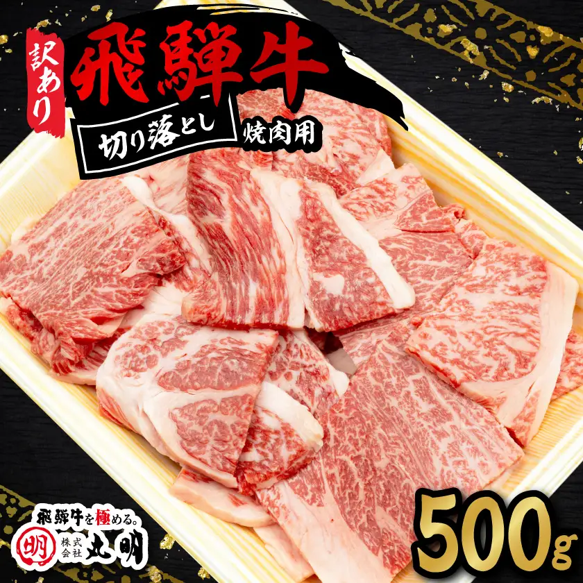 【訳あり】飛騨牛 焼肉　切り落とし 500g【配送不可地域：離島】【1749003】
