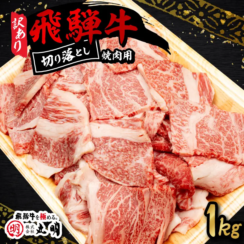 【訳あり】飛騨牛 焼肉　切り落とし 1kg【配送不可地域：離島】【1749005】