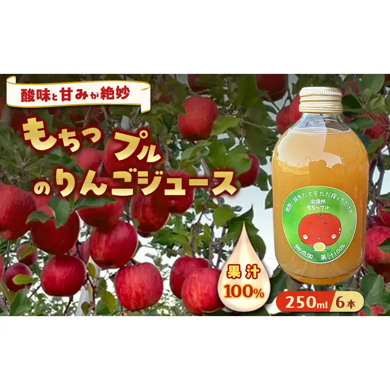 もちっプルのりんごジュース 果汁100% 250ml×6本 りんごジュース ジュース 飲料 100%果汁 サンふじ 山ノ内町 もっちーの畑