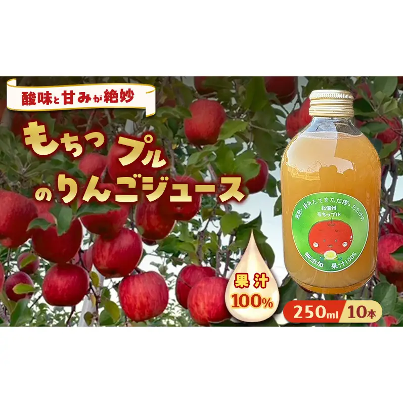 もちっプルのりんごジュース 果汁100% 250ml×10本りんごジュース ジュース 飲料 100%果汁 サンふじ 山ノ内町 もっちーの畑