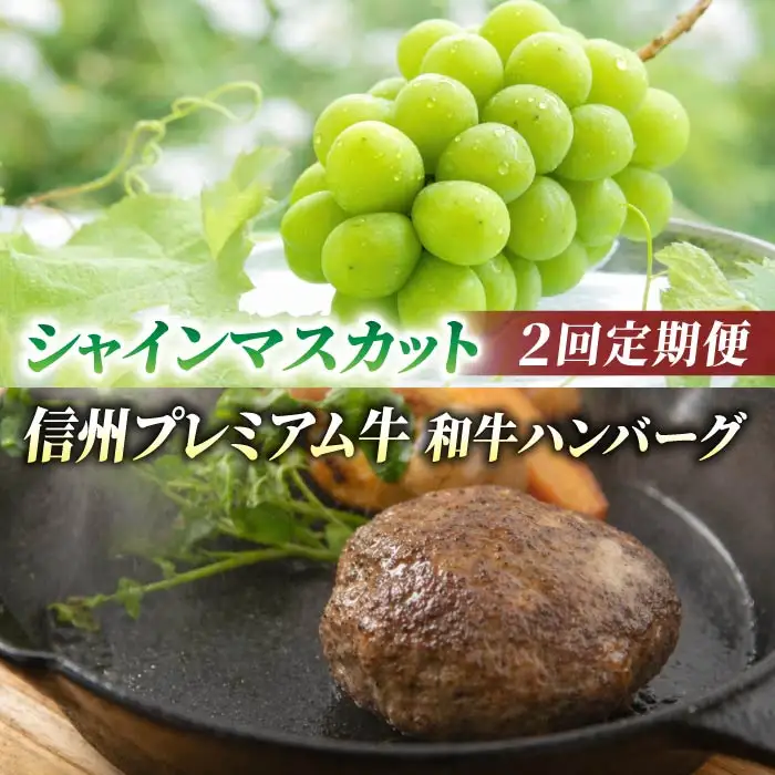 【2回定期便】信州プレミアム牛肉（ハンバーグ4個）・シャインマスカット 2房｜【小田切牧場／JA信州うえだ】ぶどう 葡萄 大粒 果物 フルーツ 和牛 頒布会 長野