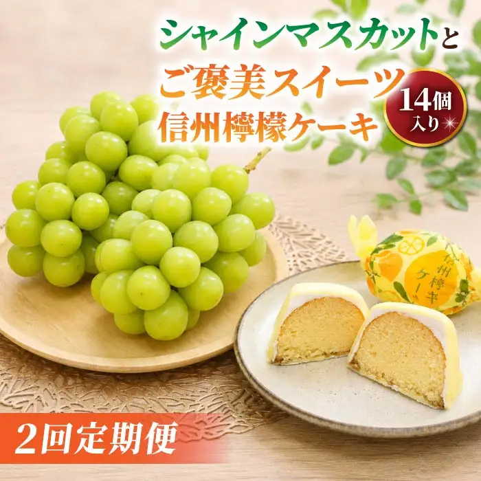【2回定期便】高評価！シャインマスカットとご褒美スイーツ定期便（シャインマスカット 2房/信州檸檬ケーキ14個）｜【JA信州うえだ/御菓子処花岡】ぶどう 葡萄 大粒 果物 フルーツ 菓子 頒布会 長野