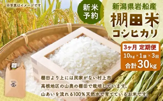 【新米予約・令和8年産米】【定期便：3ヶ月連続でお届け】新潟県村上市岩船産 棚田米コシヒカリ 10kg×3ヶ月　1011005N