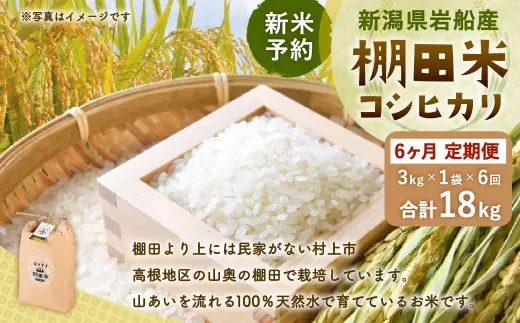 【新米受付・令和8年産米】【定期便：6ヶ月連続でお届け】新潟県村上市岩船産 棚田米コシヒカリ 3kg×6ヶ月　1011010N