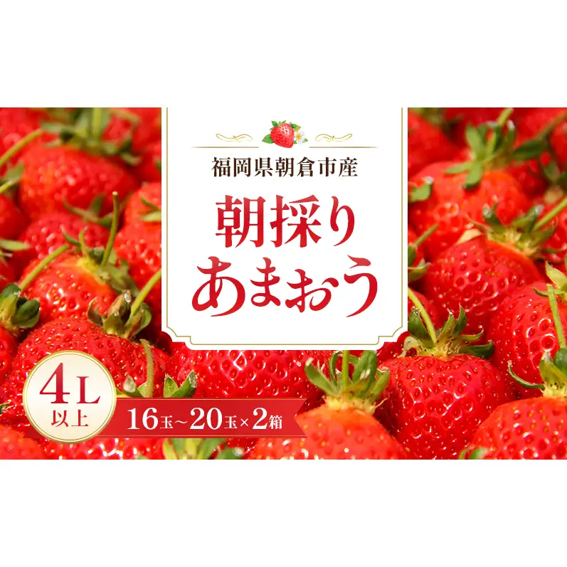 いちご 朝倉市産 あまおう 4L以上 16玉～20玉×2箱 いちご イチゴ