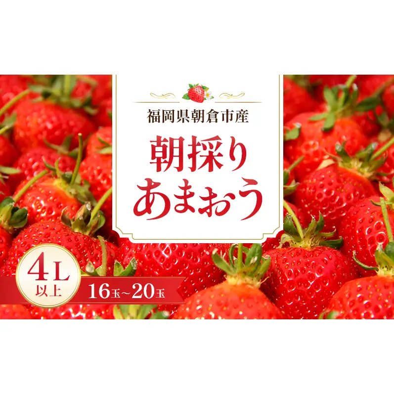 いちご 朝倉市産 あまおう 4L以上 16玉～20玉 いちご