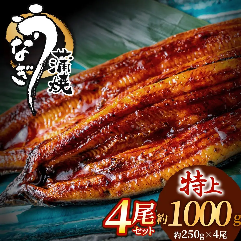 うなぎ蒲焼き4尾 計1.0kg以上(250g以上×4尾)【魚住商店】_HA1494