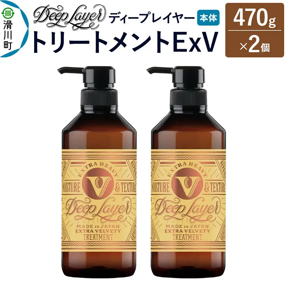 DeepLayer ディープレイヤー トリートメント ExV 470g×2個