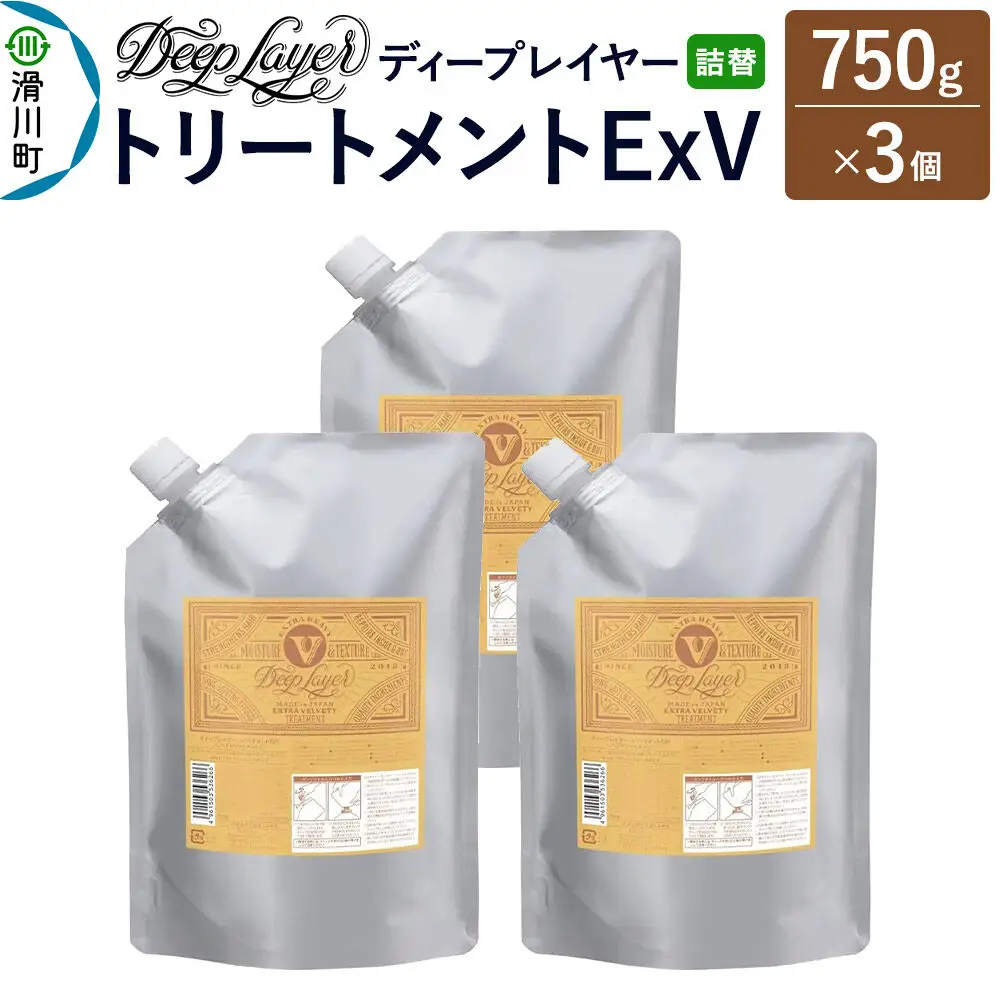 DeepLayer ディープレイヤー トリートメント ExV 【詰替】 750g×3個