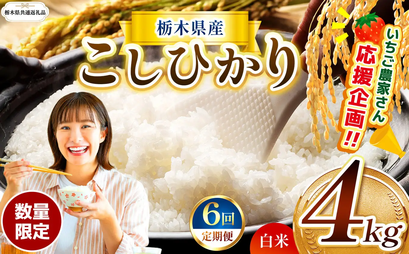 先行予約 【定期６回】令和8年度産 栃木県産 コシヒカリ 4kg |【栃木県共通返礼品】