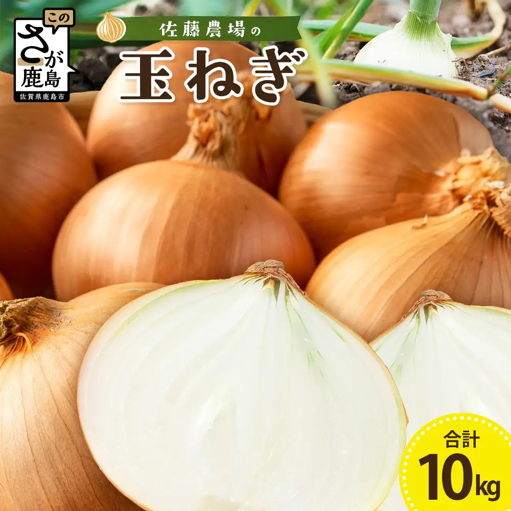 ＼生産者直送／佐藤農場が育てた鹿島市産玉ねぎ 10kg｜ 鹿島市産 玉ねぎ 佐藤農場 産地直送 新鮮 野菜 大容量 B-916