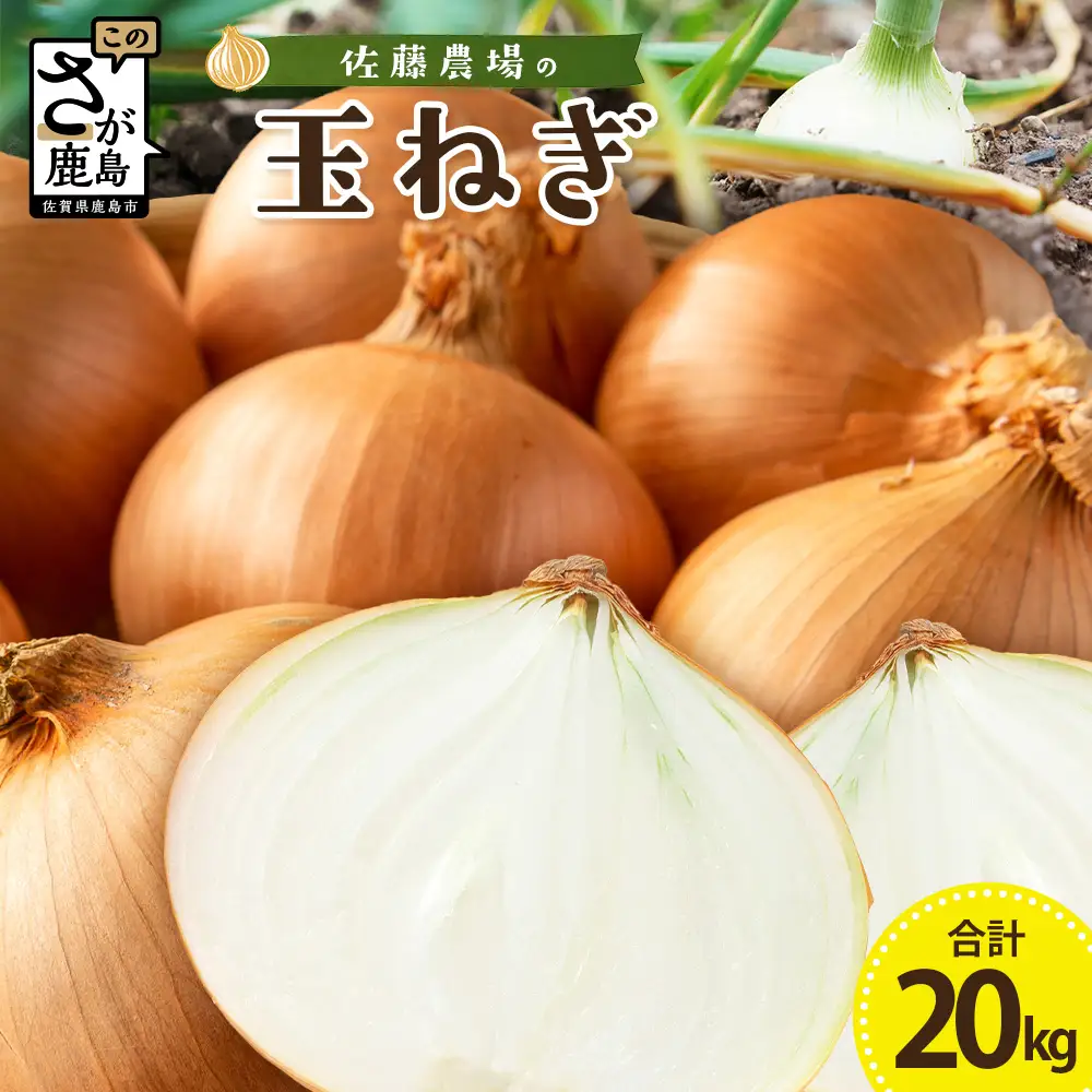 ＼生産者直送／佐藤農場が育てた鹿島市産玉ねぎ 10kg×2箱（20kg）｜鹿島市産 玉ねぎ 佐藤農場 産地直送 新鮮 野菜 大容量 C-205