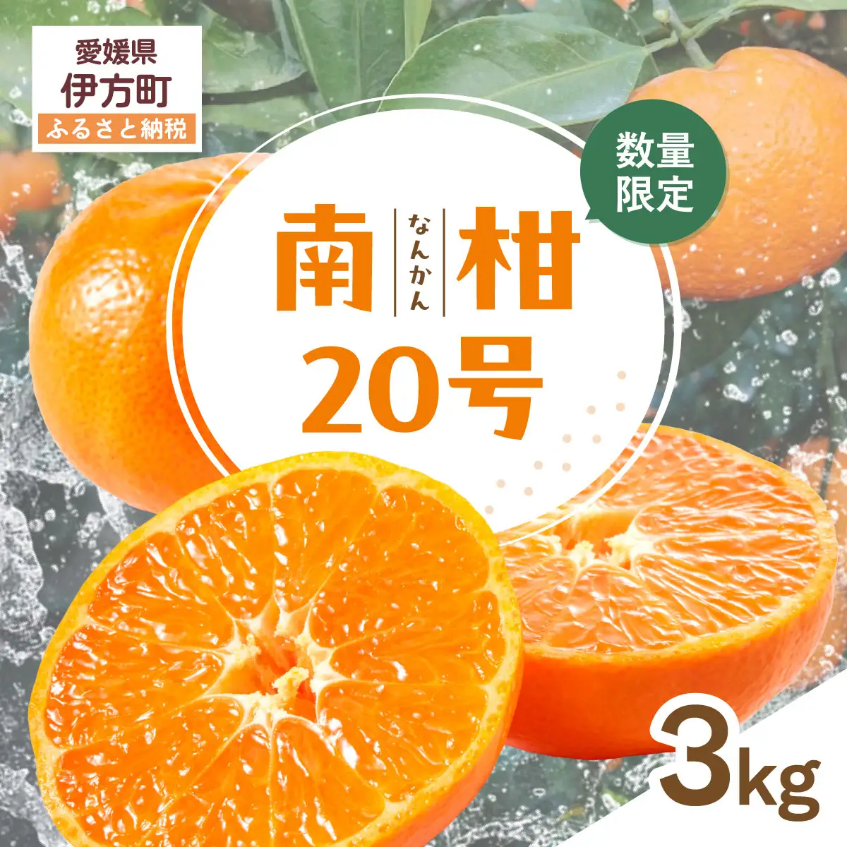 【先行受付】【数量限定】南柑20号（生果）3kg（2025年12月上旬頃より順次発送）IKTQ016