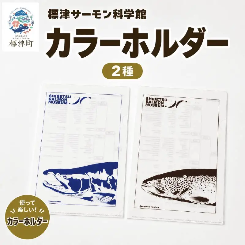 カラーホルダー 2種セット 【AP】