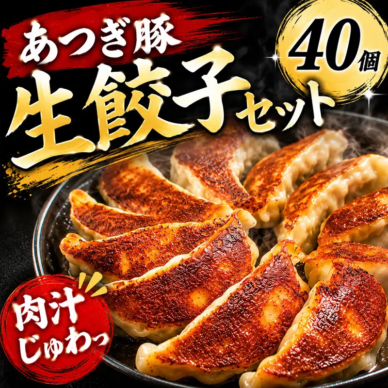 あつぎ豚 生餃子セット ぎょうざ ギョーザ 中華 神奈川県 No.654