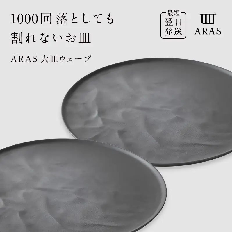 ARAS 大皿ウェーブ 2枚セット【カラー：グレー2枚】27cm 大皿 プレート 割れない 保証付き ARAS エイラス 色が選べる 皿 食器 うつわ 贈り物 ギフト 3万円 30000円 F6P-2600