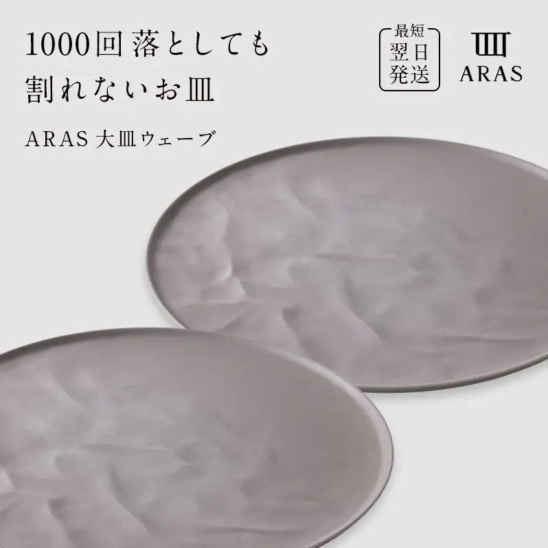 ARAS 大皿ウェーブ 2枚セット【カラー：ピンクグレー2枚】27cm 大皿 プレート 割れない 保証付き ARAS エイラス 色が選べる 皿 食器 うつわ 贈り物 ギフト 3万円 30000円 F6P-2603