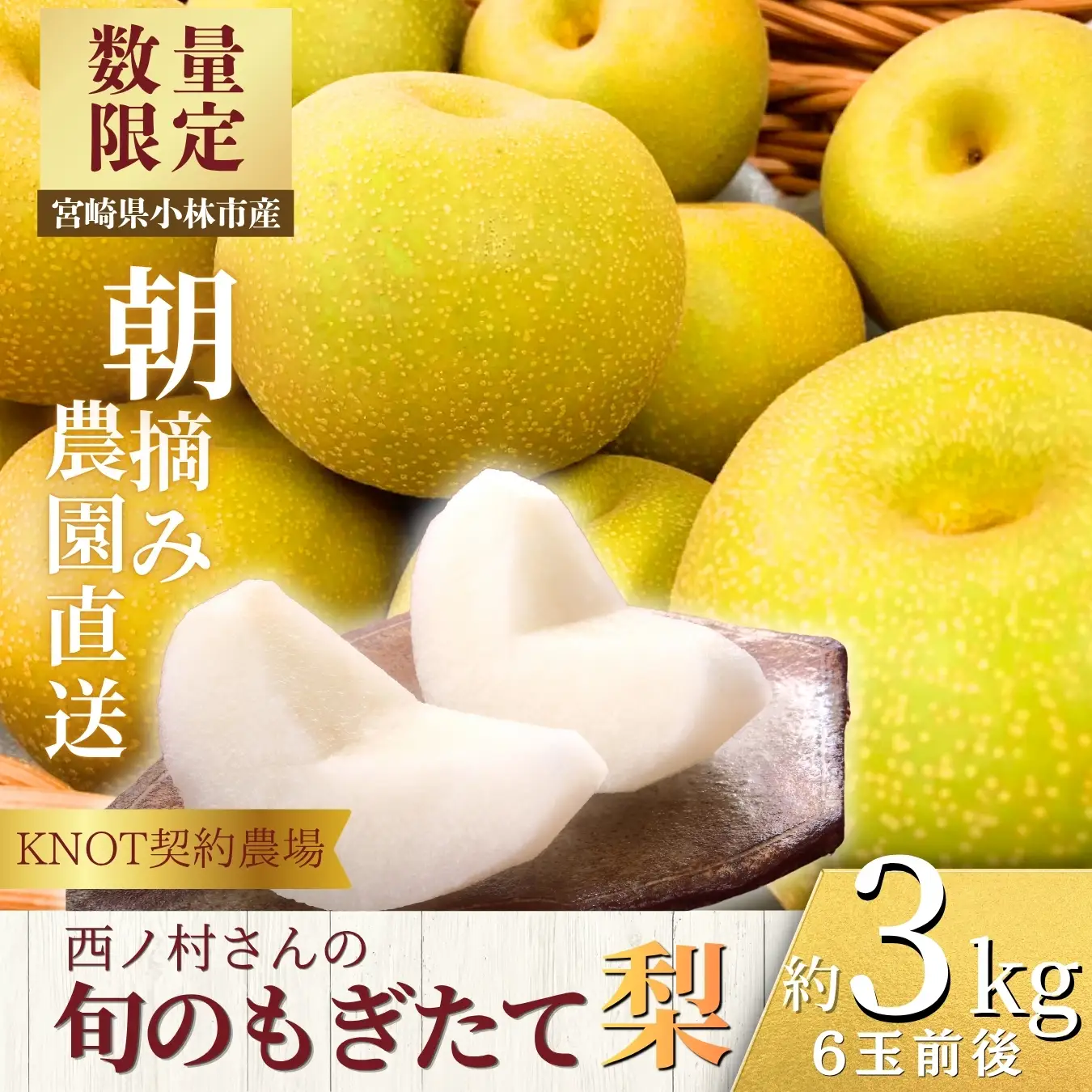 旬のもぎたて梨3kg（フルーツ 梨 贈答用 産地直送 契約農場 おすすめ ふるさと 宮崎)