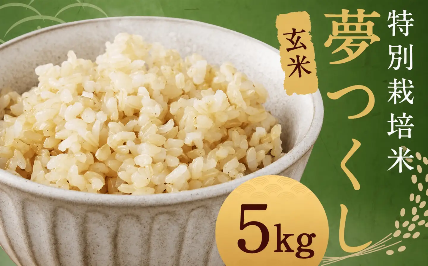 【玄米】 夢つくし （特別栽培米） 約5kg 福岡県産 令和7年産 玄米 米 こめ コメ