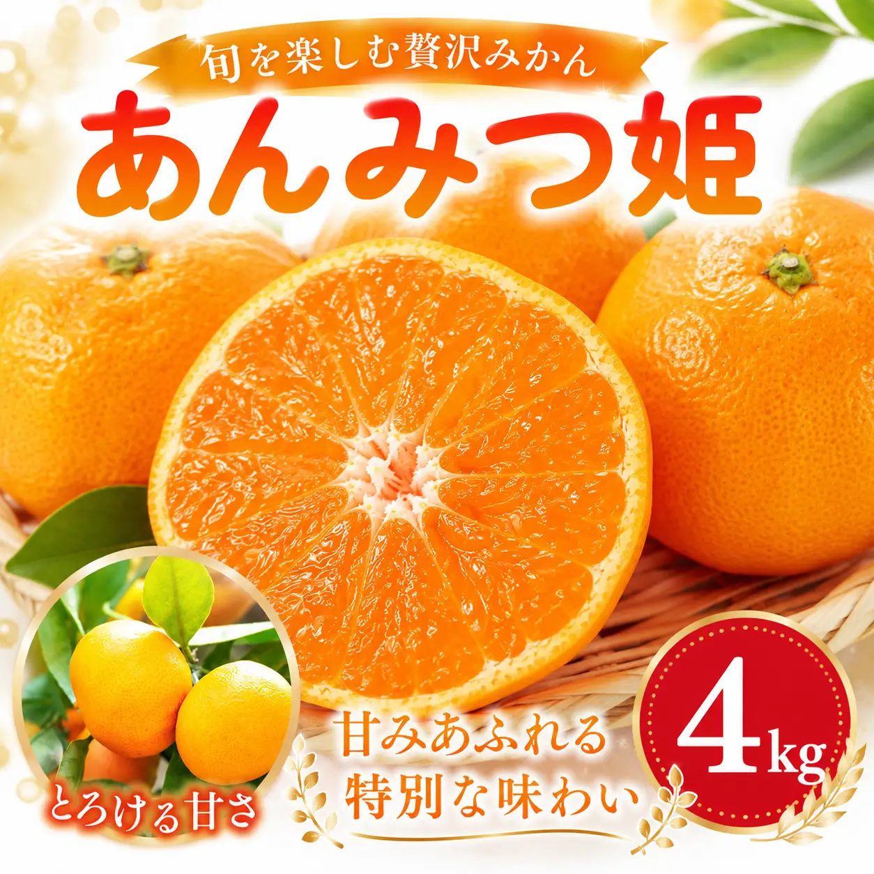 佐賀県産みかん あんみつ姫 4kg 114-B1015
