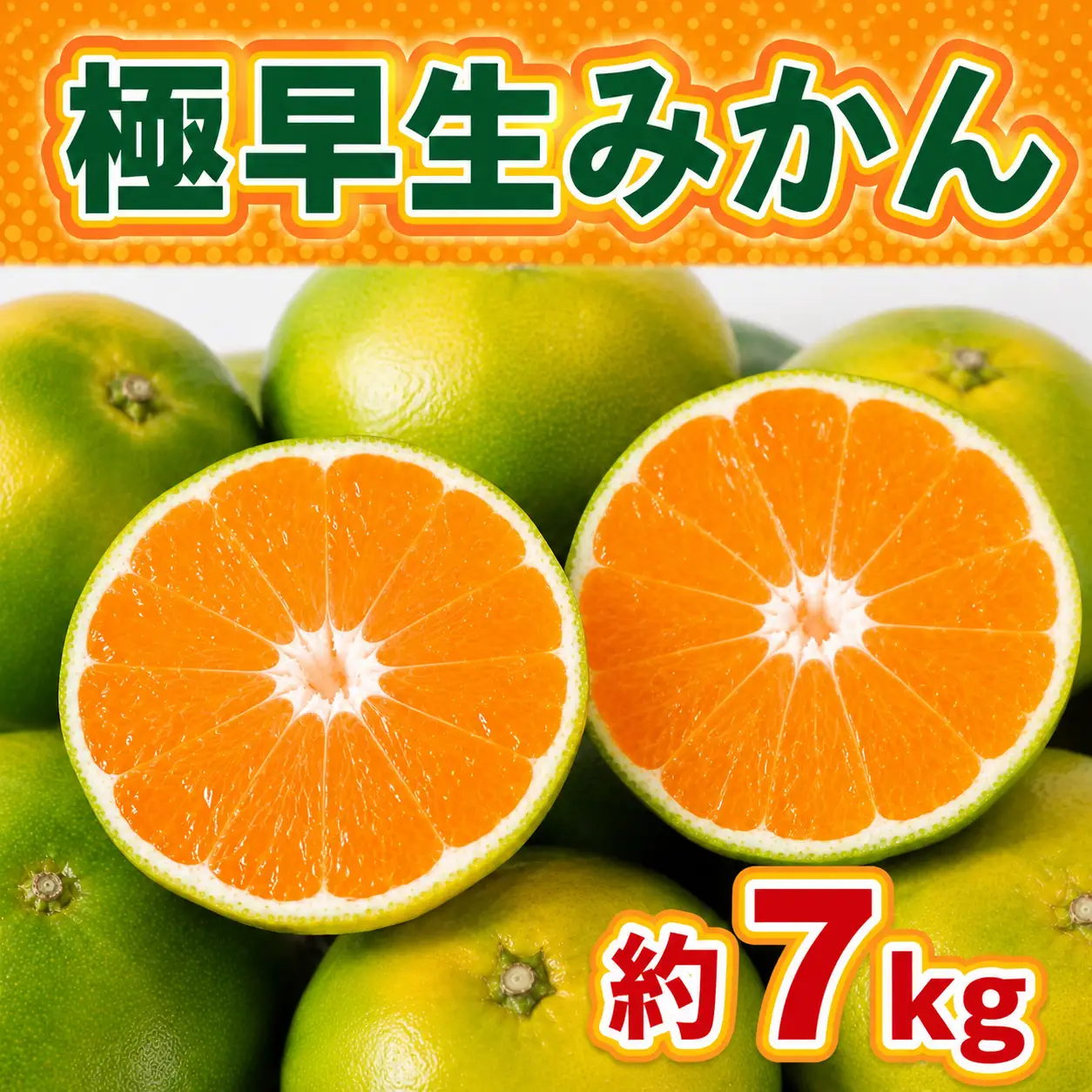 極早生みかん 約7kg 114-B1004
