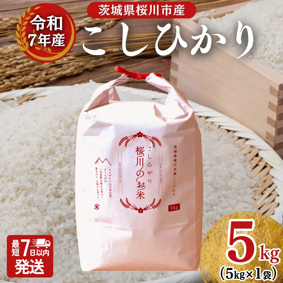 ＼スピード出荷／ 令和7年産 茨城県 桜川市産 こしひかり5kg（5kg×1袋） スピード 最短 7日 すぐ届く すぐ発送 スピード発送 早い [SC051sa-sp]