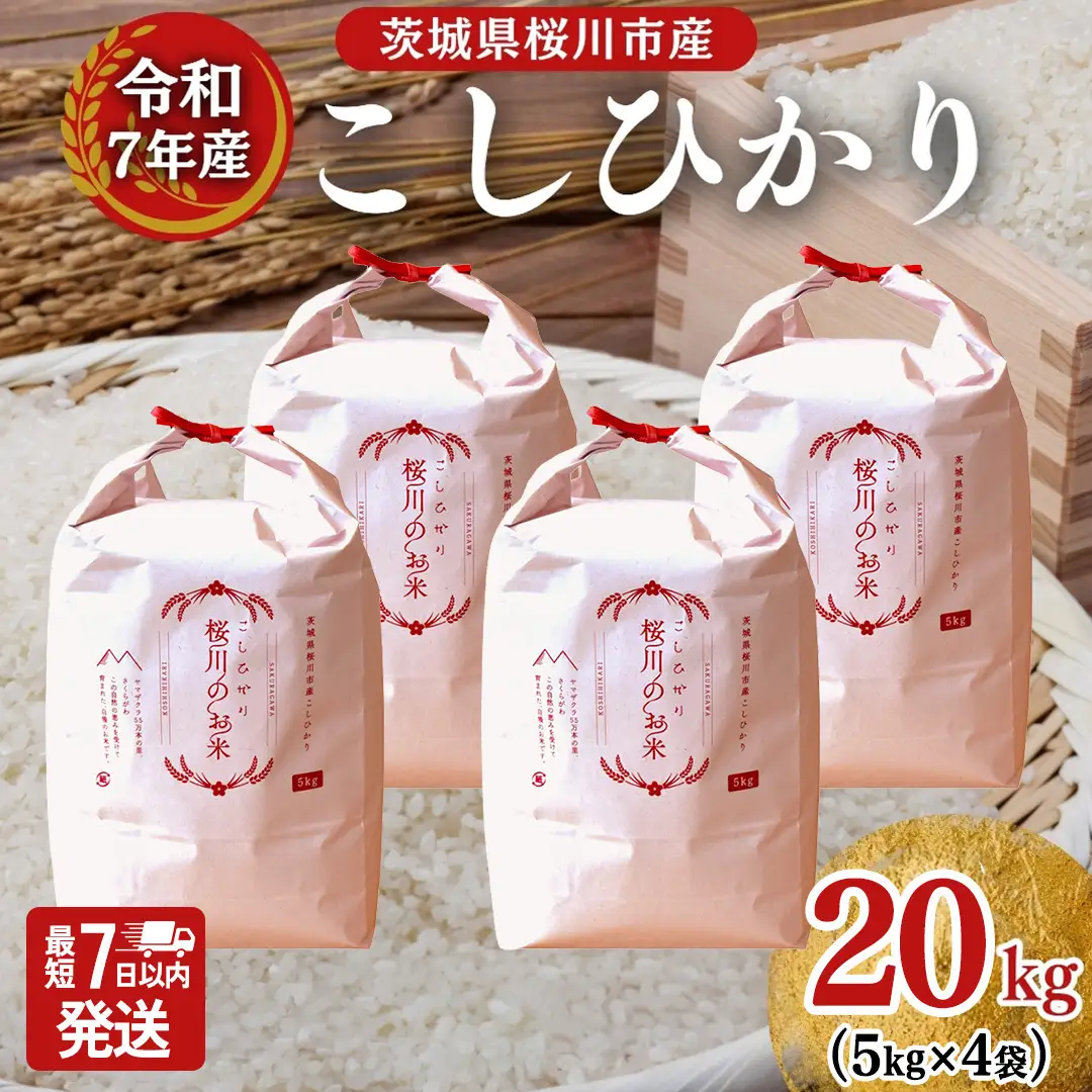 ＼スピード出荷／ 令和7年産 茨城県 桜川市産 こしひかり20kg（5kg×4袋） スピード 最短 7日 すぐ届く すぐ発送 スピード発送 早い [SC066sa-sp]