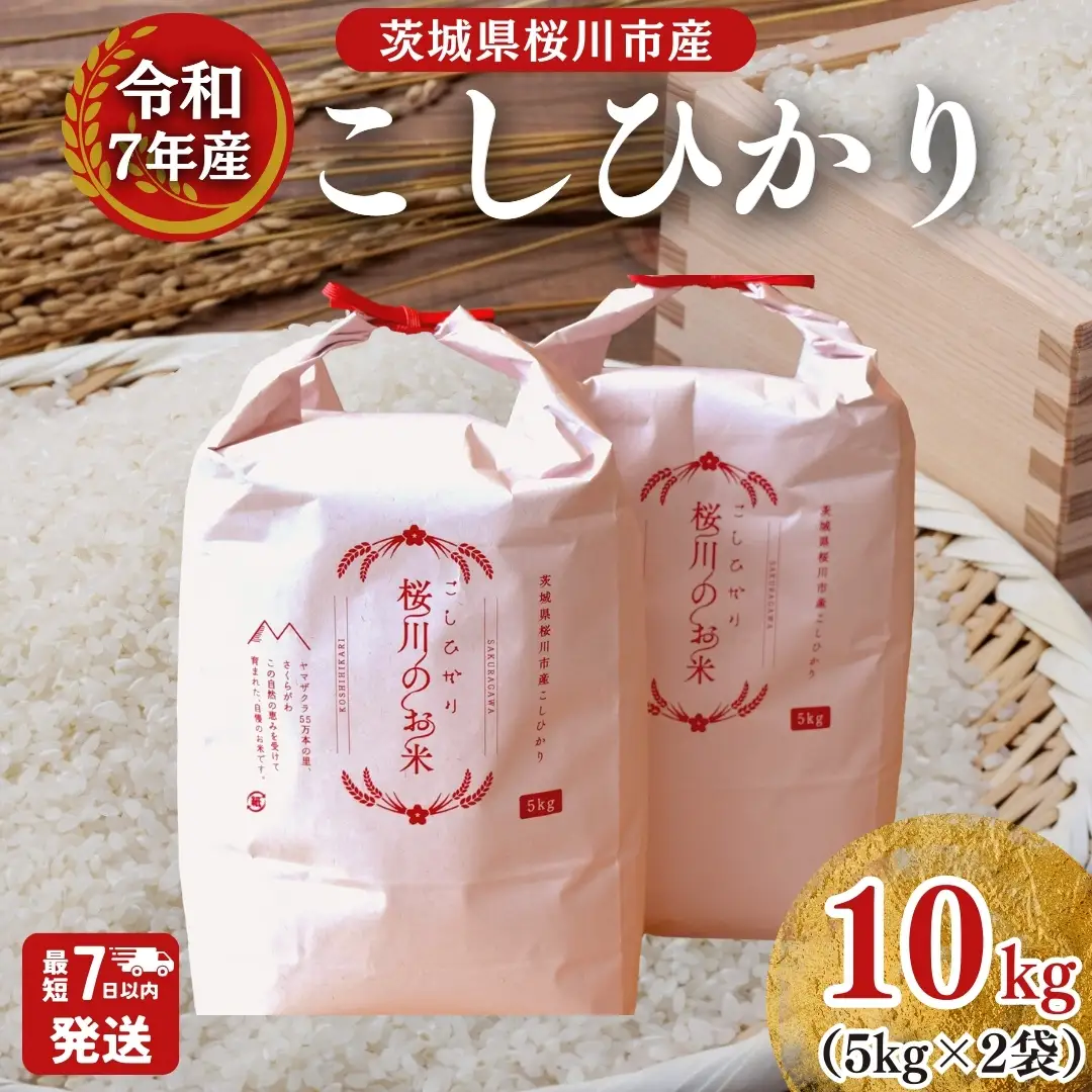＼スピード出荷／ 令和7年産 茨城県 桜川市産 こしひかり10kg（5kg×2袋） スピード 最短 7日 すぐ届く すぐ発送 スピード発送 早い 米 お米 白米 コメ ごはん 精米 コシヒカリ 国産 限定 銘柄米 [SC050sa-sp]