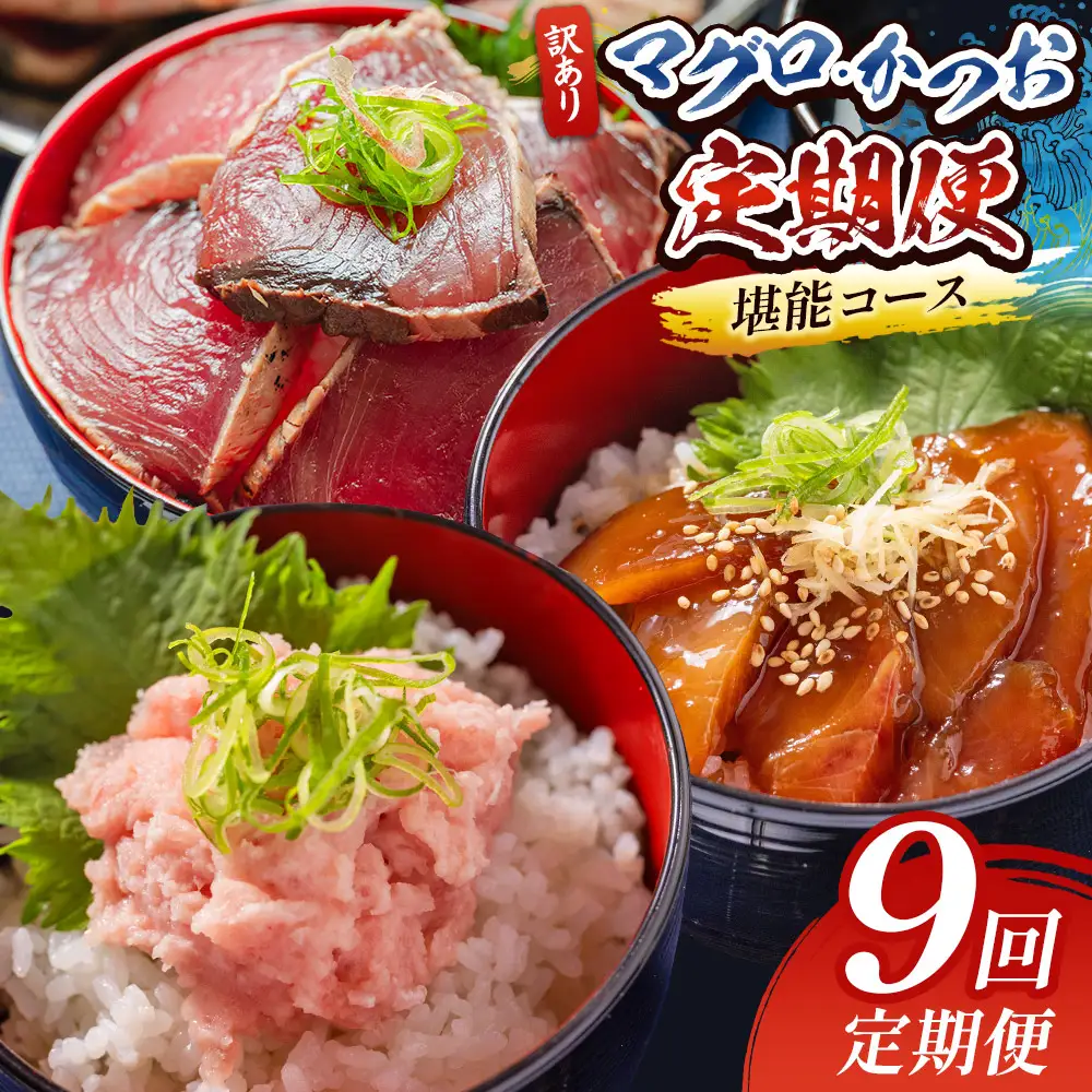 【9回定期便】マグロ かつお堪能定期便 - 訳あり マグロ 鮪 カツオ 鰹 漬けマグロ たたき ネギトロ 配送回数 定期便 小分け 海鮮 魚介 冷凍食品 加工品 海鮮丼 刺身 株式会社大熊 高知県 香南市 冷凍 Wda-0057