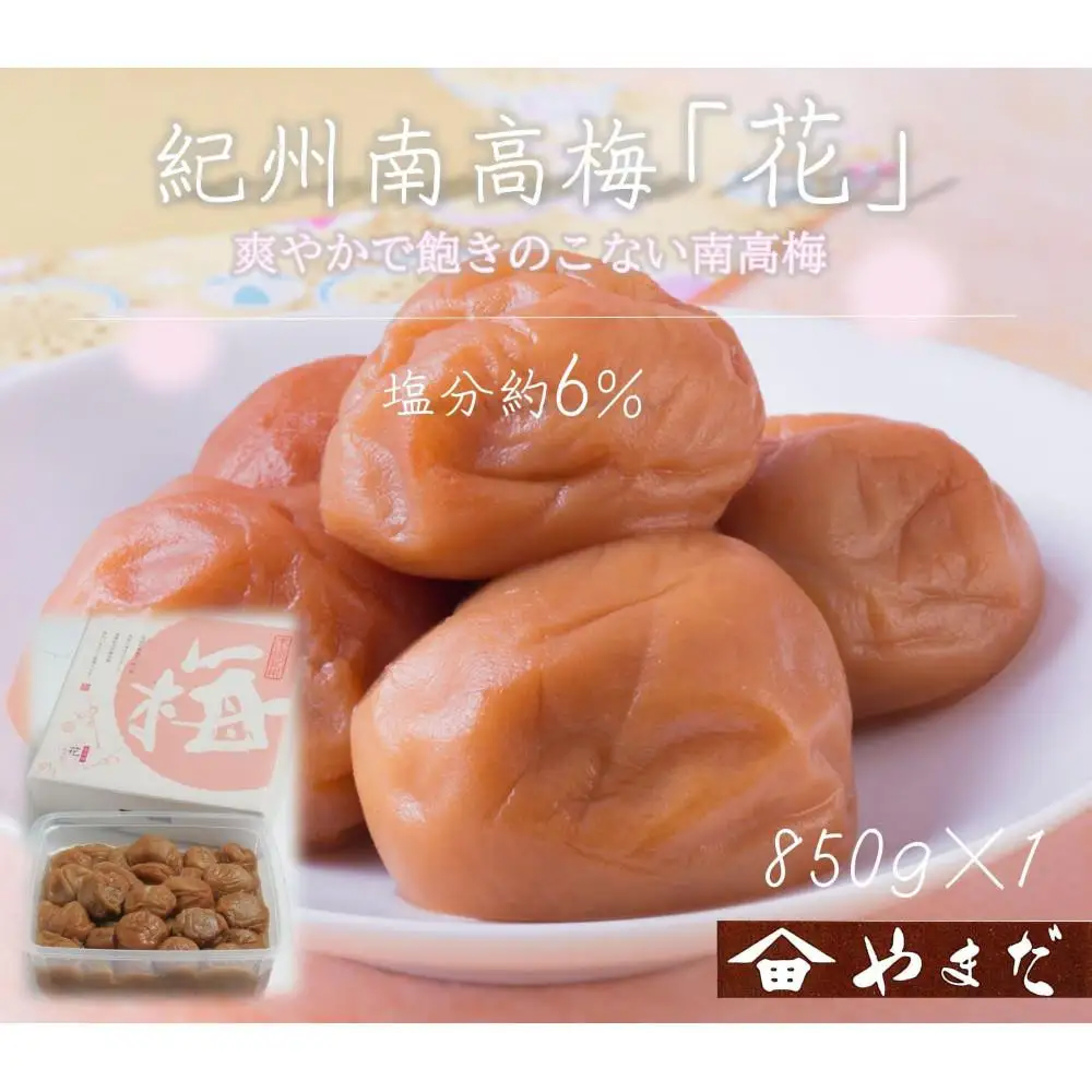 【定期便・3ヵ月毎 全3回】紀州南高梅 「花」 850g ［YM8w］