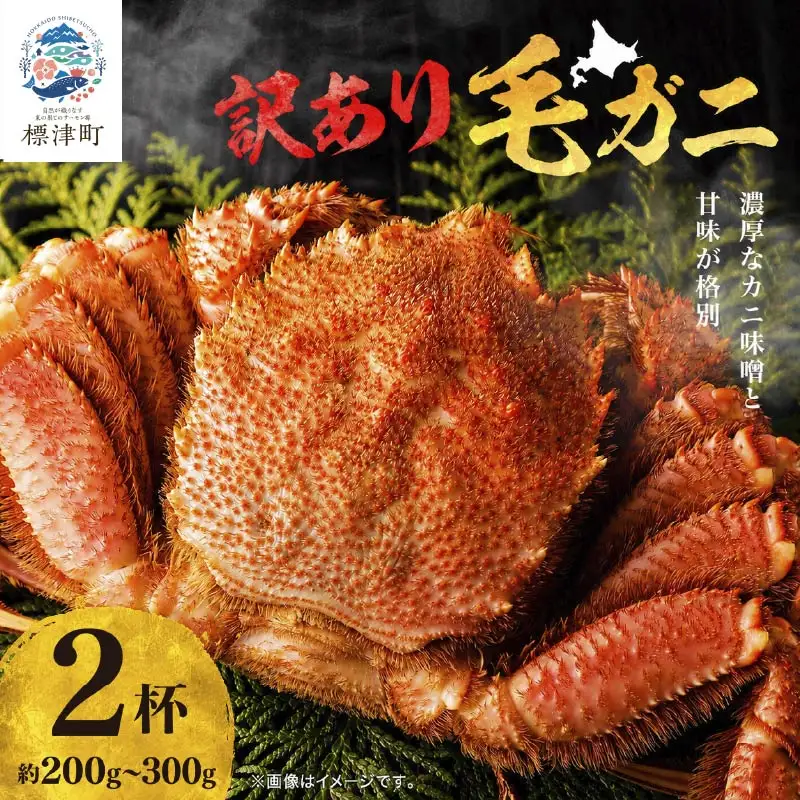 【訳あり】毛ガニ 200g~300g×2杯 毛ガニ 【AF】