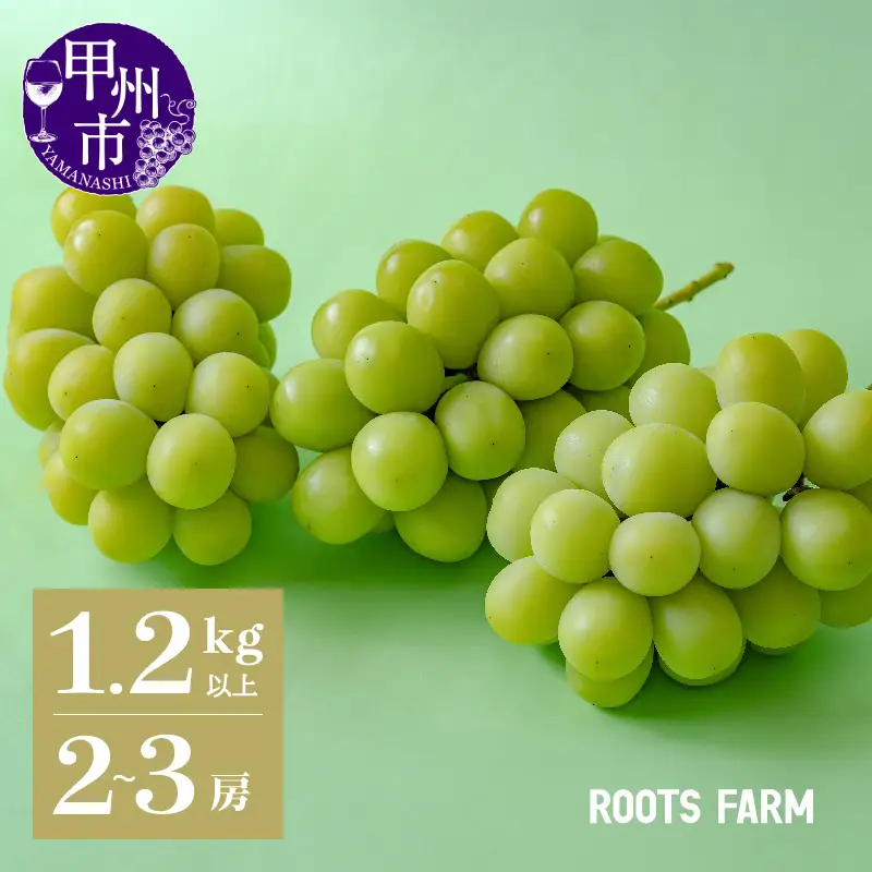 高品質なROOTS FARMシャインマスカット 1.2kg以上 2～3房入【2027年発送】（RO）B12-135 シャインマスカット フルーツ