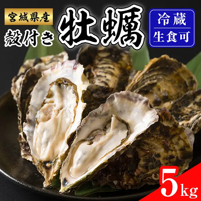 殻付き牡蠣（生食用）冷蔵 5kg 生牡蠣 宮城県産 牡蛎 牡蠣 カキ かき 生食 オイスター カキフライ 牡蠣鍋 海鮮 国産 魚貝類 バーベキュー BBQ 【カタクチ商店株式会社】tm737