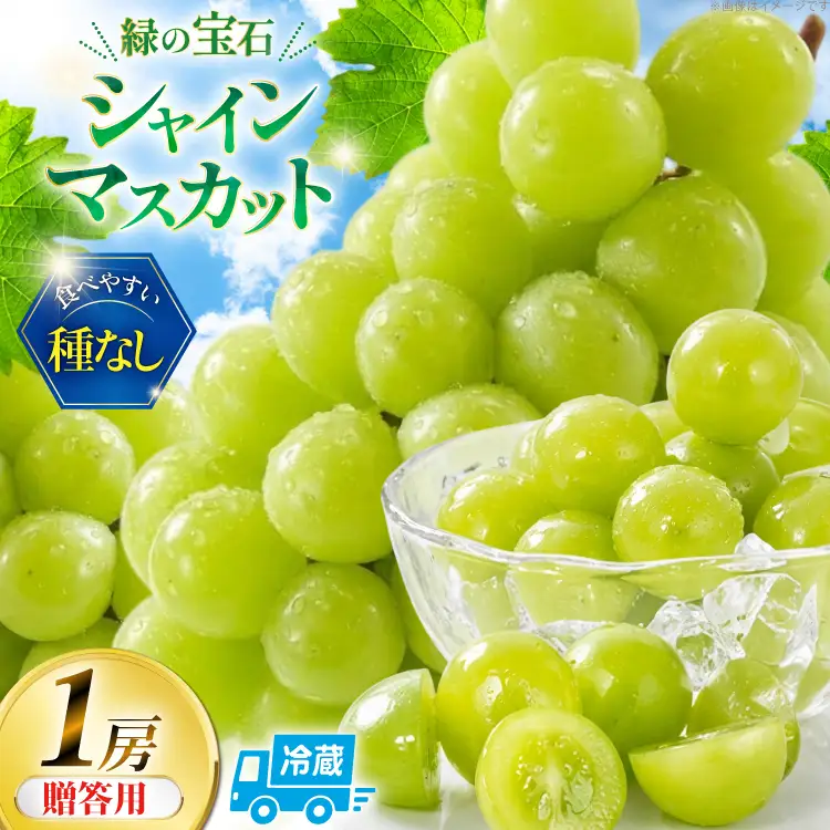 【2026年発送】 シャインマスカット 先行予約 贈答用 1房 600g 以上