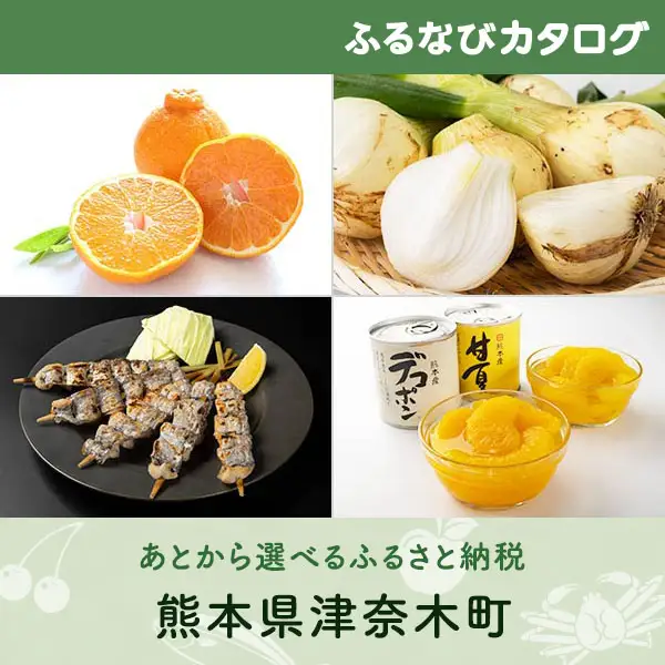 【有効期限なし！後からゆっくり特産品を選べる】熊本県津奈木町カタログポイント