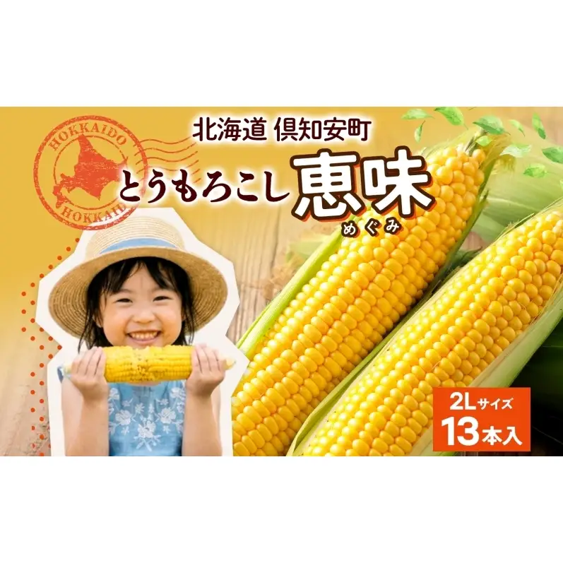 朝もぎ イエロー とうもろこし 恵味 2Lサイズ 13本 約5kg 大きめ 夏野菜 とうきび 旬 新鮮 野菜 トウモロコシ 甘い ギフト 産地直送 コーン 産直 グリーンアースファーム 送料無料 北海道 倶知安町