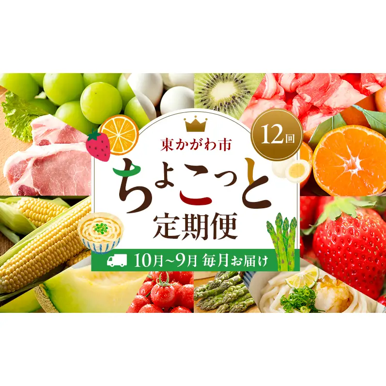 東かがわ市ちょこっと定期便(12回) 卵 キウイ 黒毛和牛 みかん いちご 讃岐うどん アスパラ トマト メロン コーン 豚肉 シャインマスカット 香川