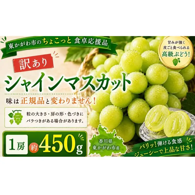 シャインマスカット 訳あり シャインマスカット【1房 約450g】