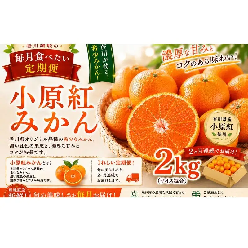 香川讃岐の毎月食べたい定期「小原紅みかん 2kg」2ヶ月定期便
