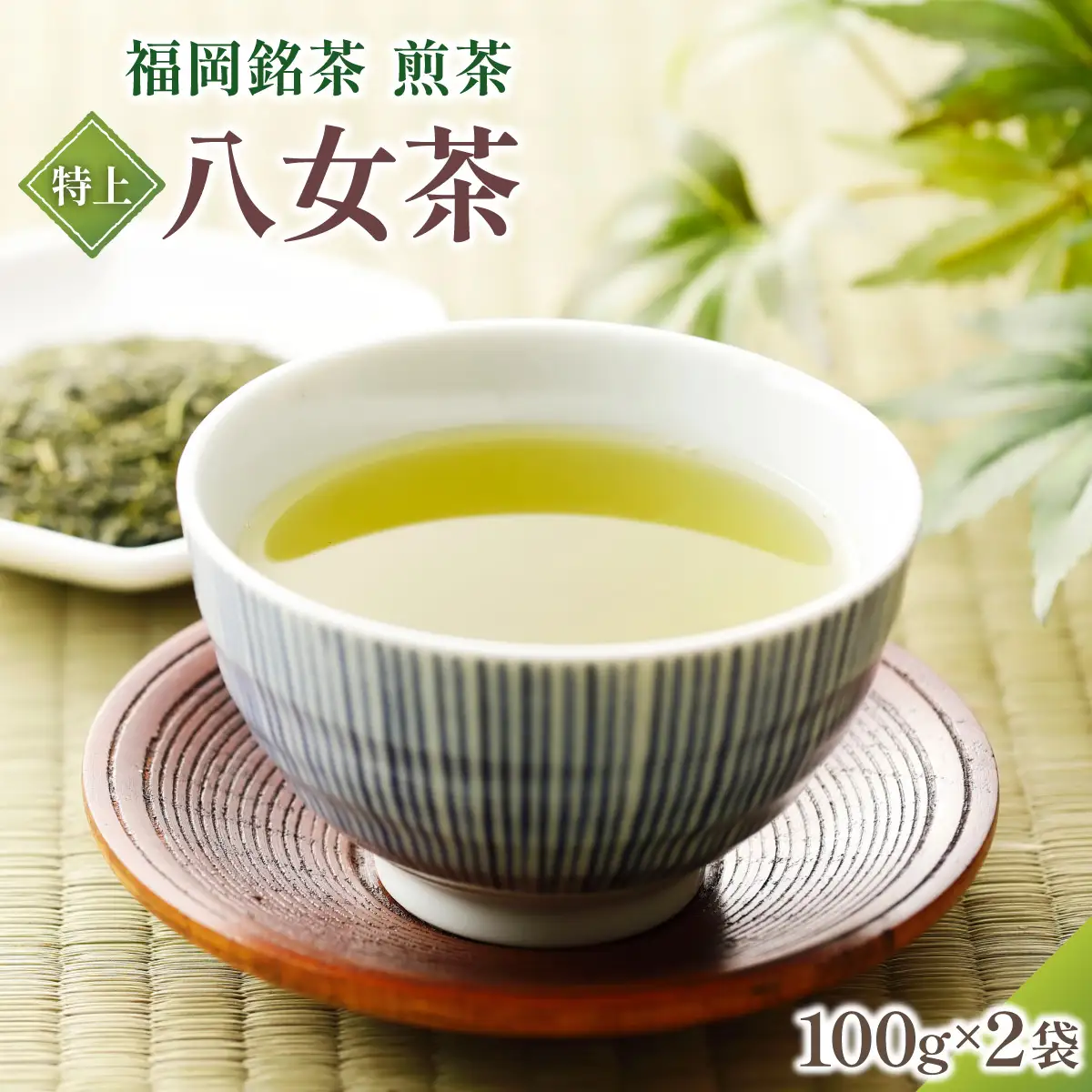  八女茶【特上】煎茶セット 100g×2袋