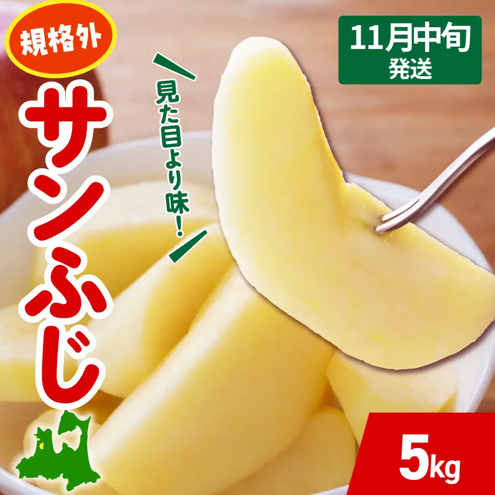 【2026年11月中旬発送】 りんご 約 5kg サンふじ 【規格外】 青森県産 りんご 9,620円