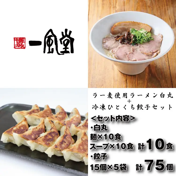 AE305.【一風堂】白丸ラー麦麺10食とひとくち餃子5袋セット【豚骨ラーメン】