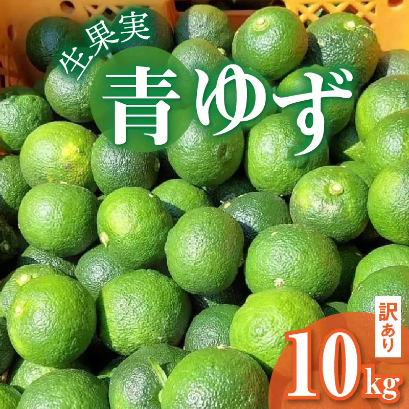 訳あり 青ゆず生果実　どっさり10kg _MM0108