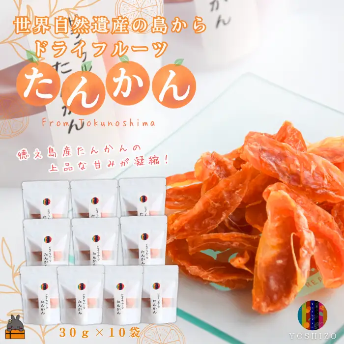～柑橘の爽やかな甘み凝縮！～徳之島産ドライフルーツたんかん（10袋） 