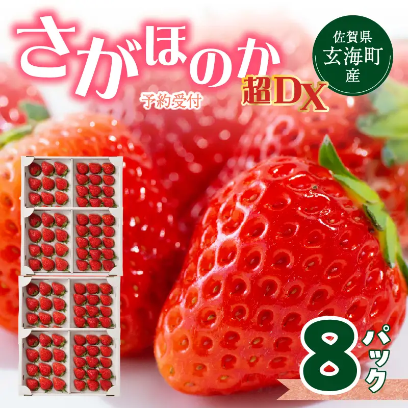 玄海町産いちご さがほのか 8パック ／ さがほのか【B248】