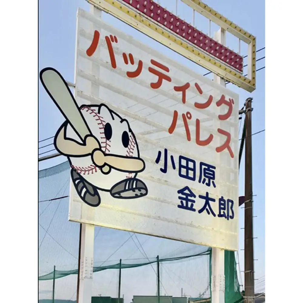 バッティングパレス 3000円分チケット