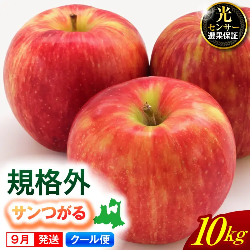 【2026年9月発送】【規格外】 りんご サンつがる 10kg 光センサー選果保証 青森県産 りんご