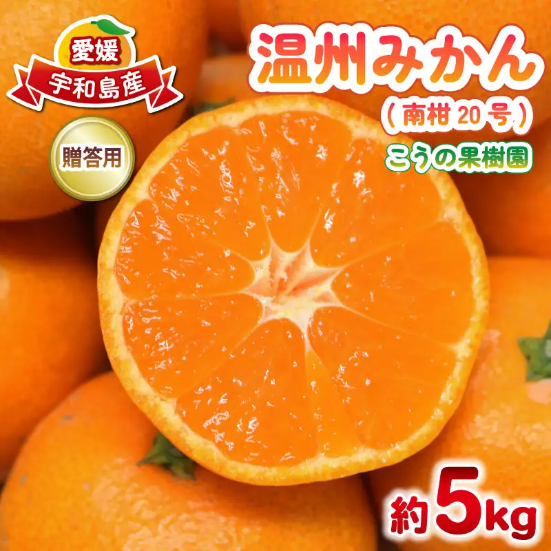 贈答用 南柑20号 みかん 5kg M～L サイズ こうの果樹園 温州みかん 温州 愛媛みかん 愛媛蜜柑 愛媛ミカン うんしゅう みかん ミカン 蜜柑 mikan 果物 フルーツ 柑橘 甘い 甘味 産地直送 農家直送 数量限定 国産 愛媛 宇和島 B010-182010